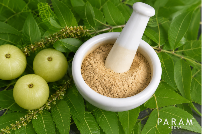 Amla Dry Extract